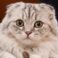 Profile picture of Elena Rivas